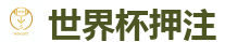 2026世界杯 (FIFA WorldCUP)中国下注指定网站